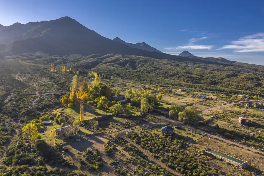 Vista aérea del barrio La Crucesita, con casas entre álamos y la montaña de fondo