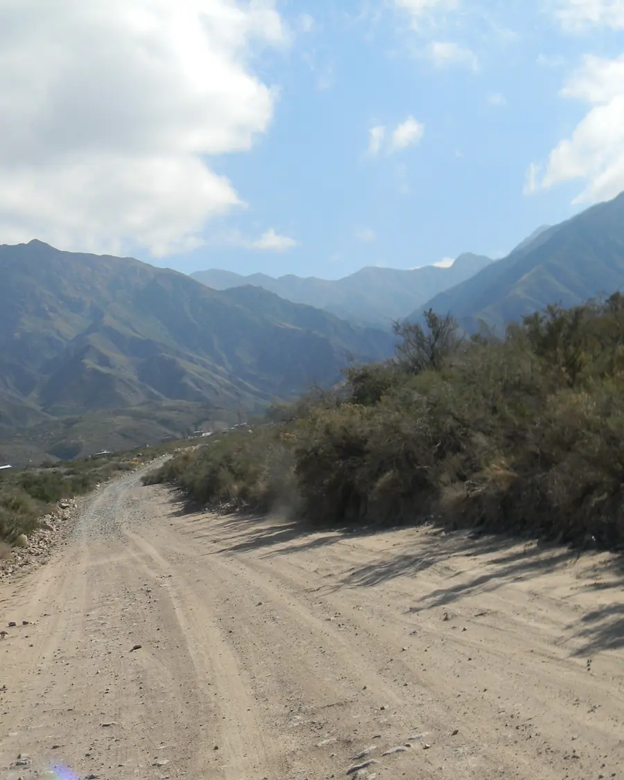 Camino de tierra ancho entre jarillas, subiendo hacia la montaña