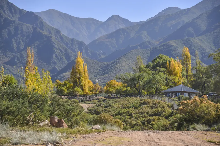 Valle con álamos dorados, jarilla y montañas